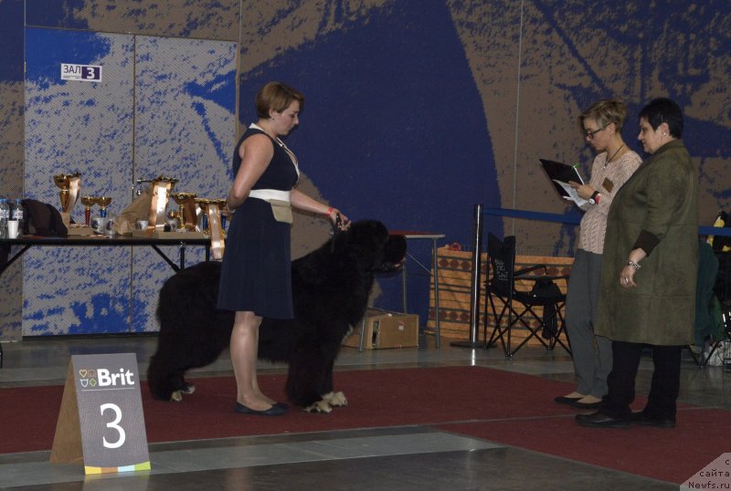 Фотография № 241991