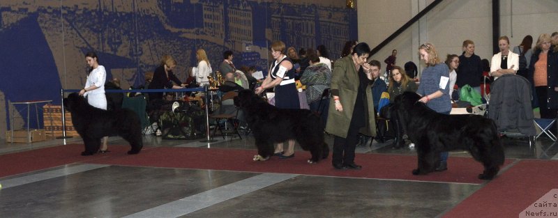 Фотография № 241992