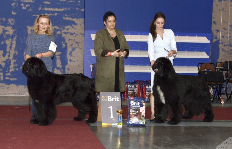 Фотография № 241993