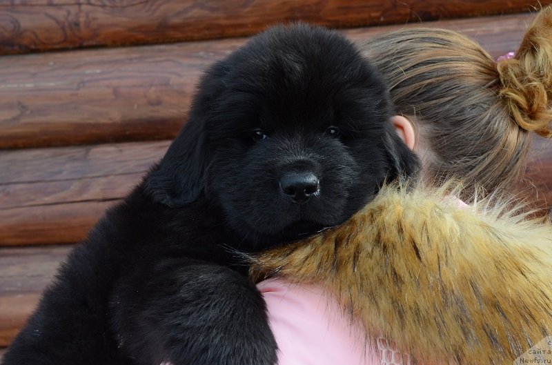 Фото: Терра Виктория О..