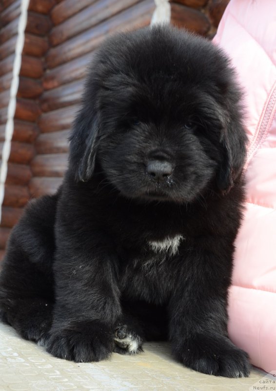 Фото: Терра Виктория О..