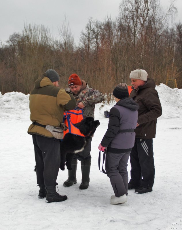 Фотография № 242044