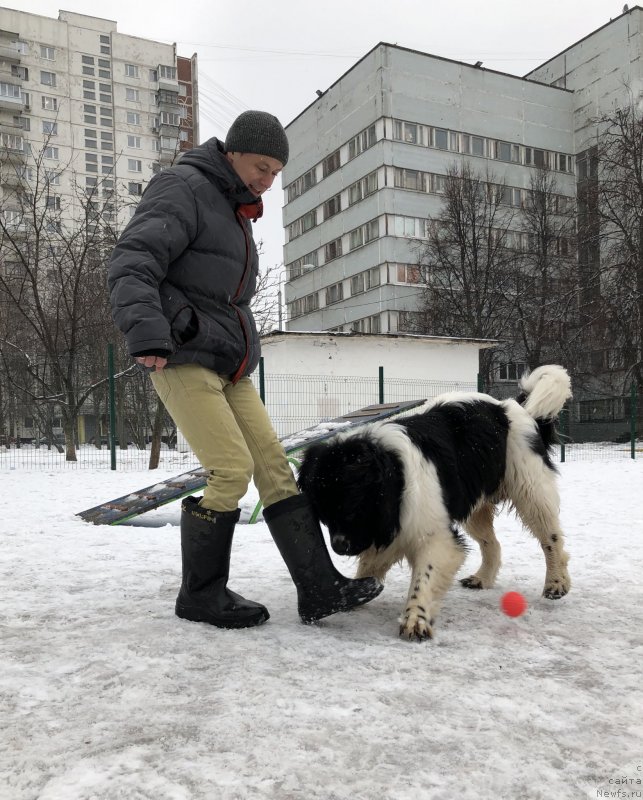 Фото: Il'ya Grigorov (Илья Григоров)