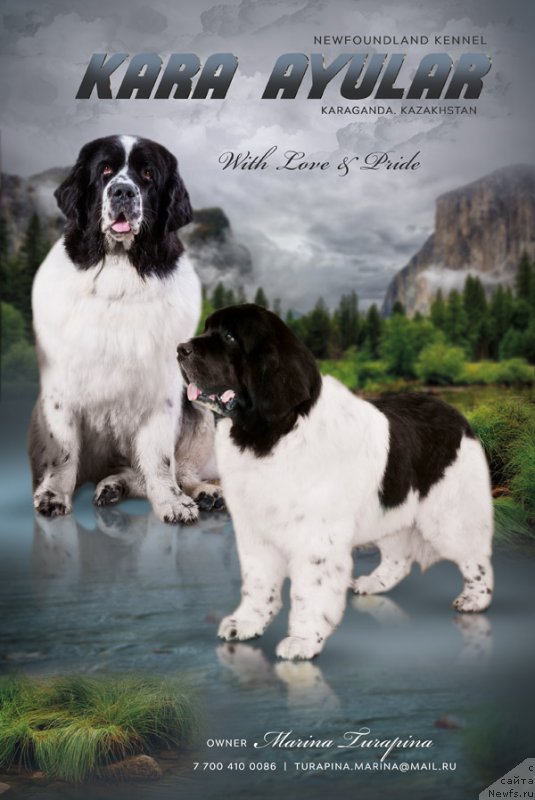 Фотография № 242110