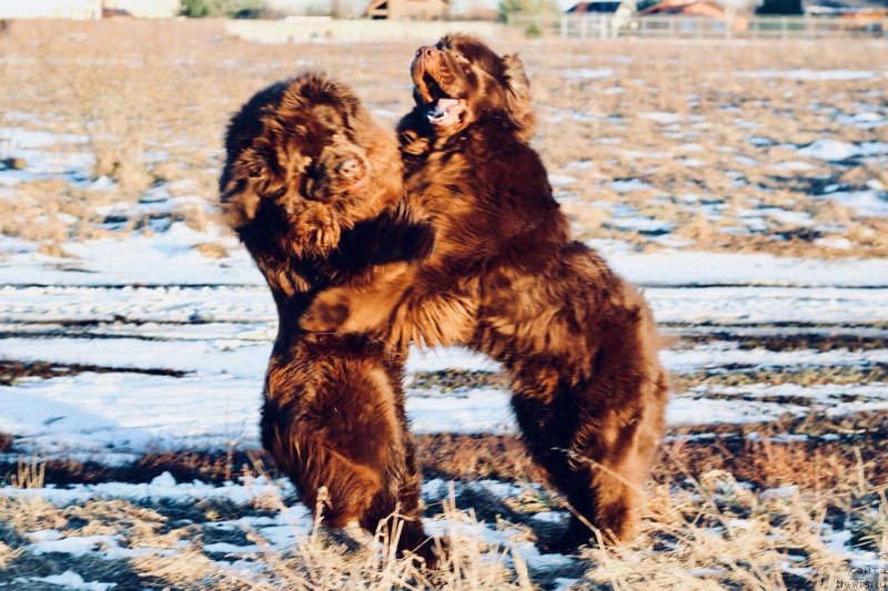 Фотография № 242115