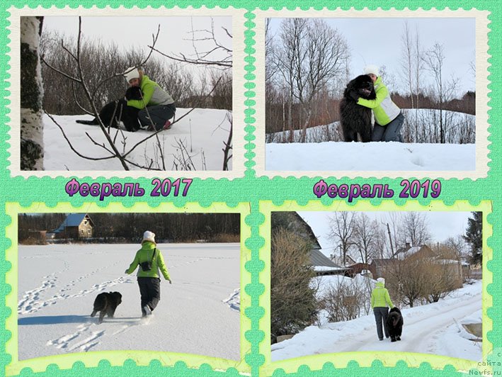 Фотография № 242136