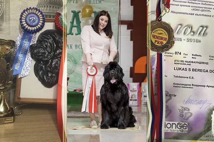 Фотография № 242138