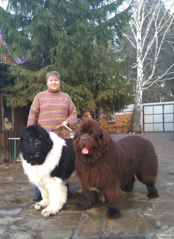 Фотография № 242140