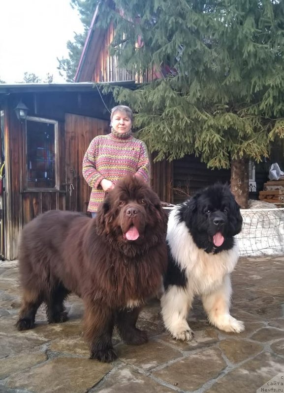 Фотография № 242141