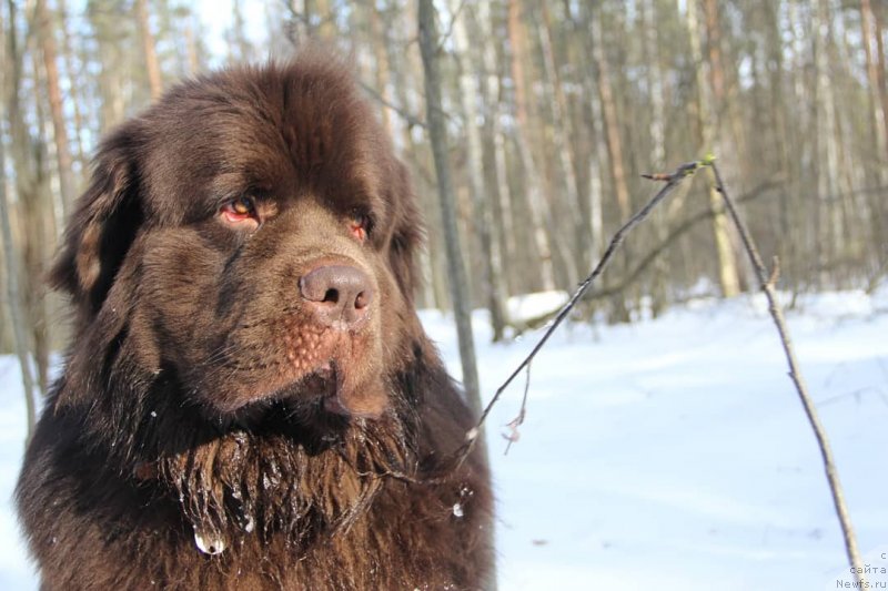 Фотография № 242151