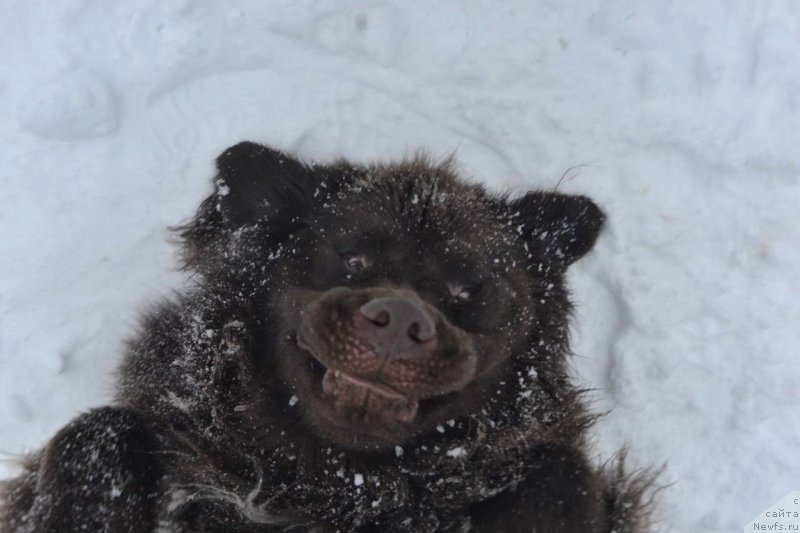 Фотография № 242157