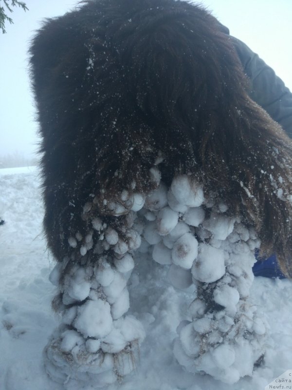 Фотография № 242158