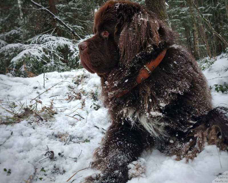 Фотография № 242160