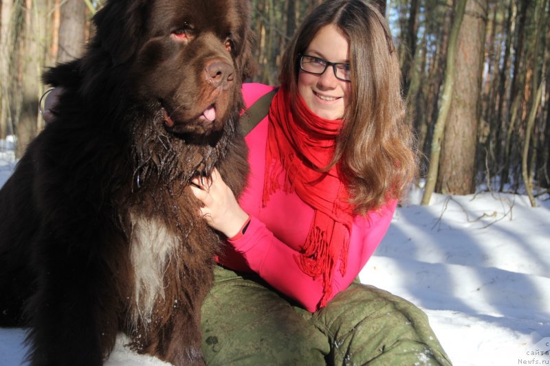 Фотография № 242161