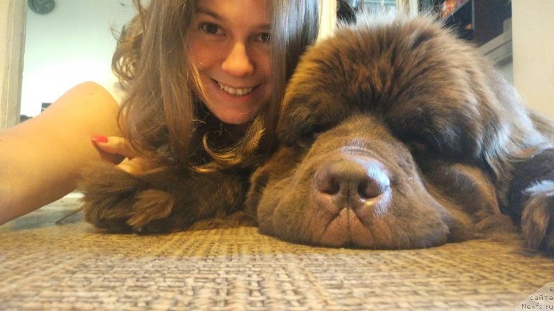 Фотография № 242163