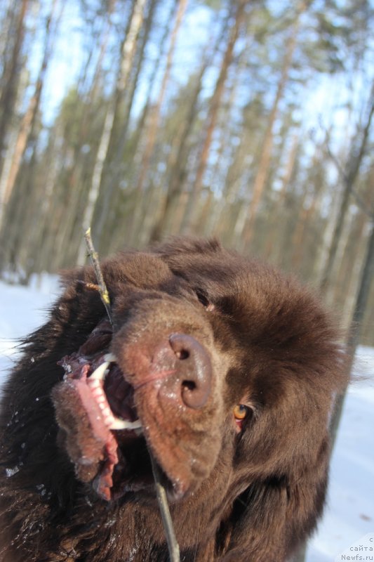 Фотография № 242164