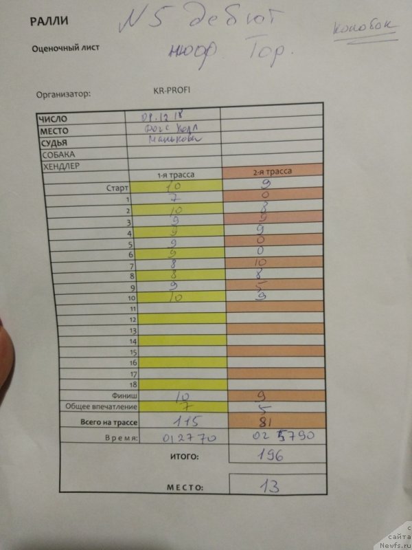 Фотография № 242166