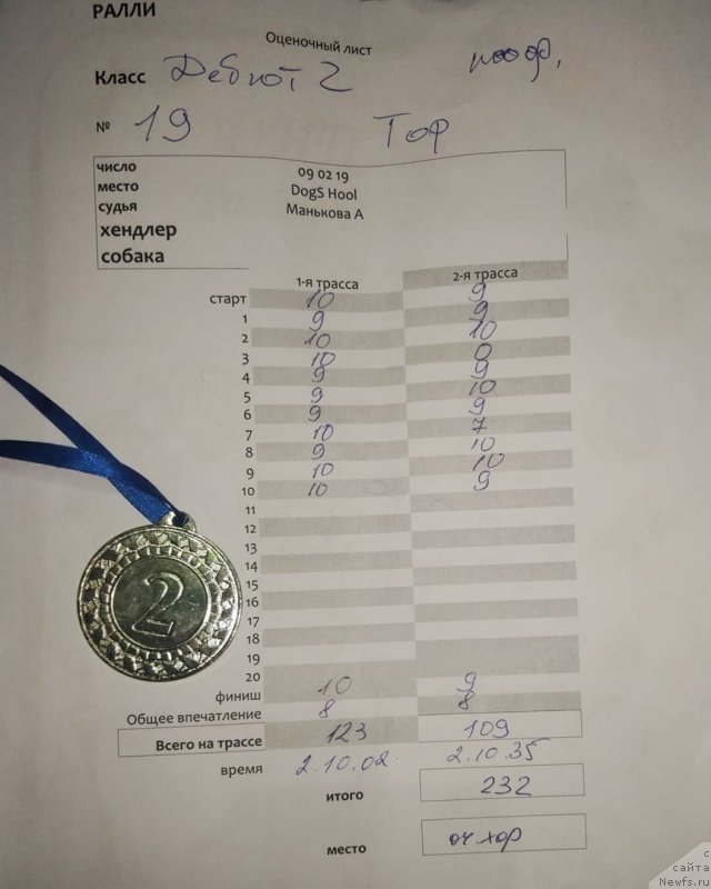 Фото: ньюфаундленд Brownblood MSK Abrams-Strong (Браунблад МСК Абрамс-Стронг)