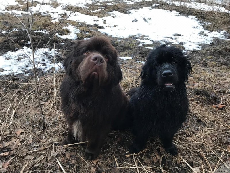 Фотография № 242168