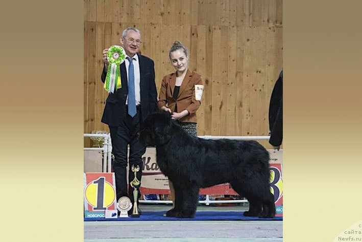 Фотография № 242169