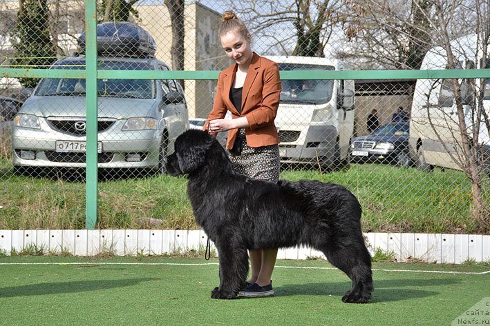 Фотография № 242170