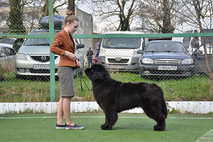 Фотография № 242171