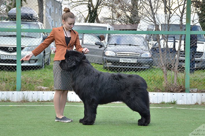 Фотография № 242172