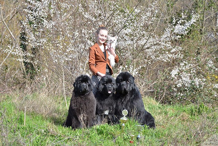 Фотография № 242173