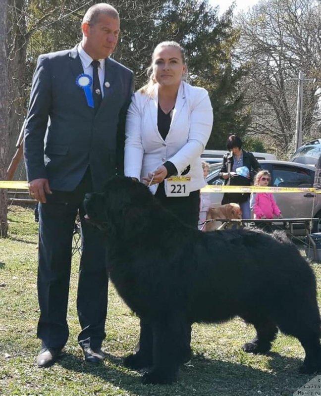 Фотография № 242175