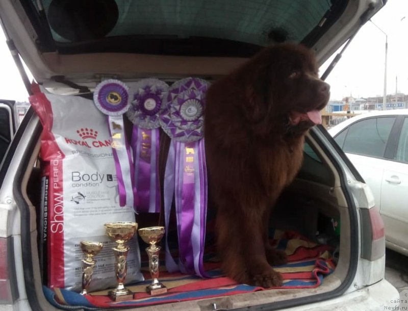 Фотография № 242177