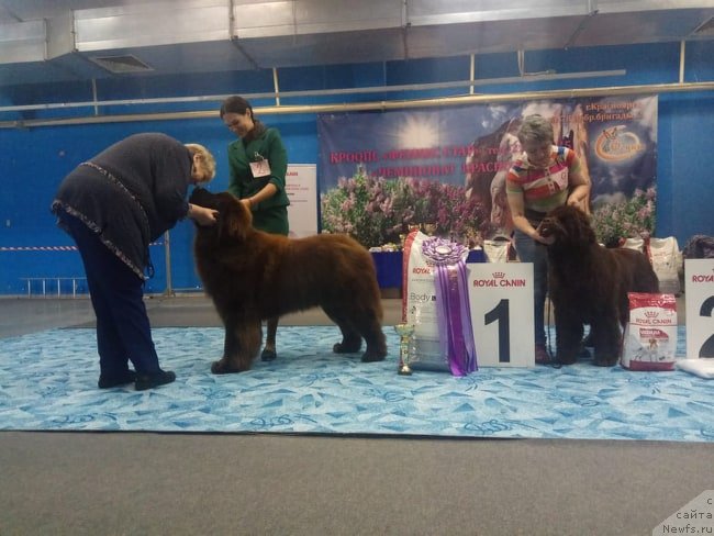 Фотография № 242178