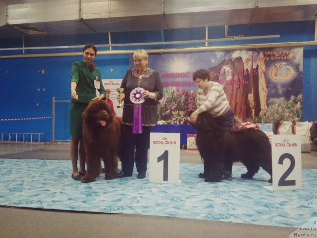 Фотография № 242179