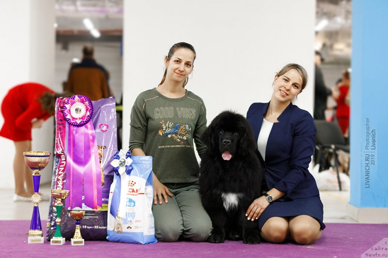 Фотография № 242210