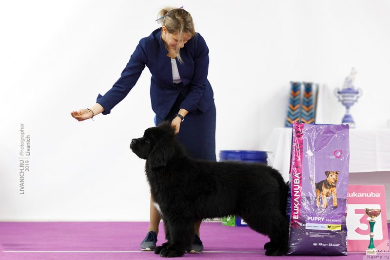 Фотография № 242213