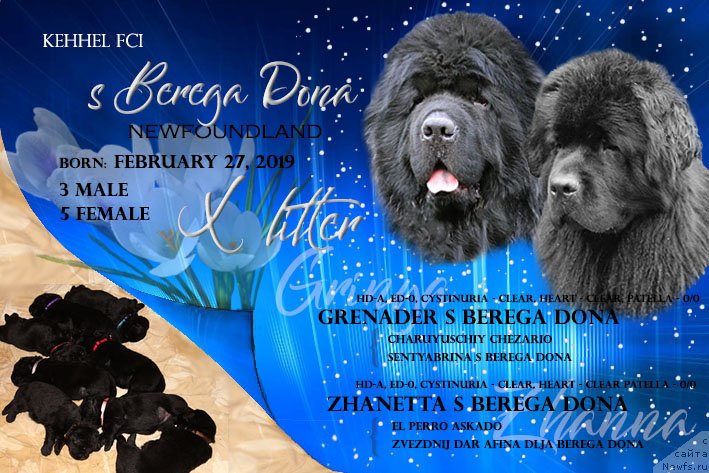 Фотография № 242227