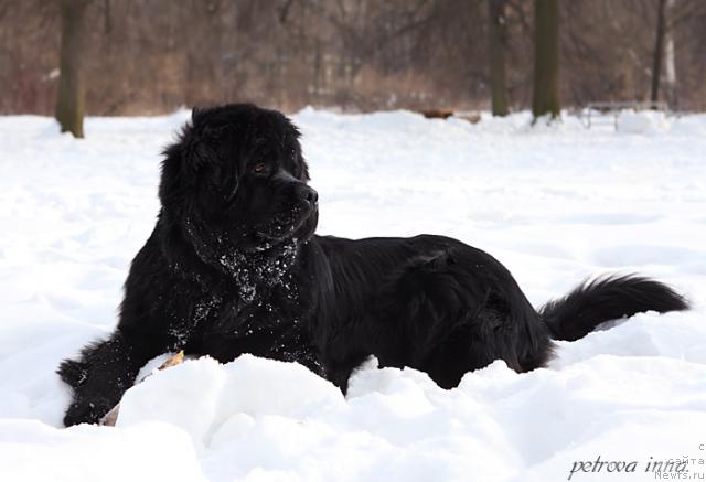 Фотография № 24225