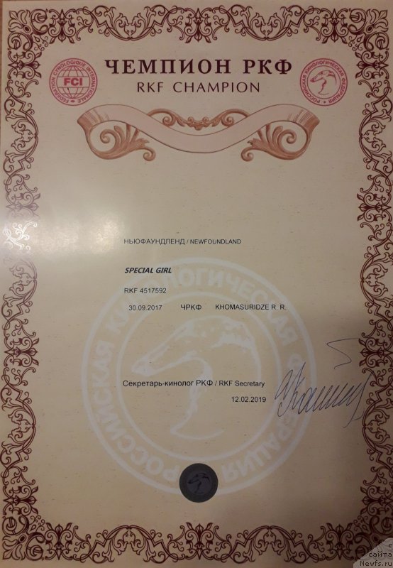 Фото: ньюфаундленд Special Girl (Специал Герл)