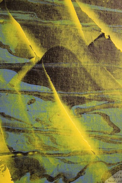 Фотография № 242298