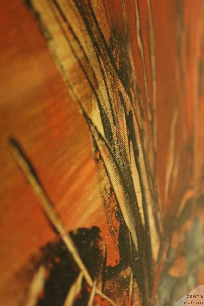 Фотография № 242310