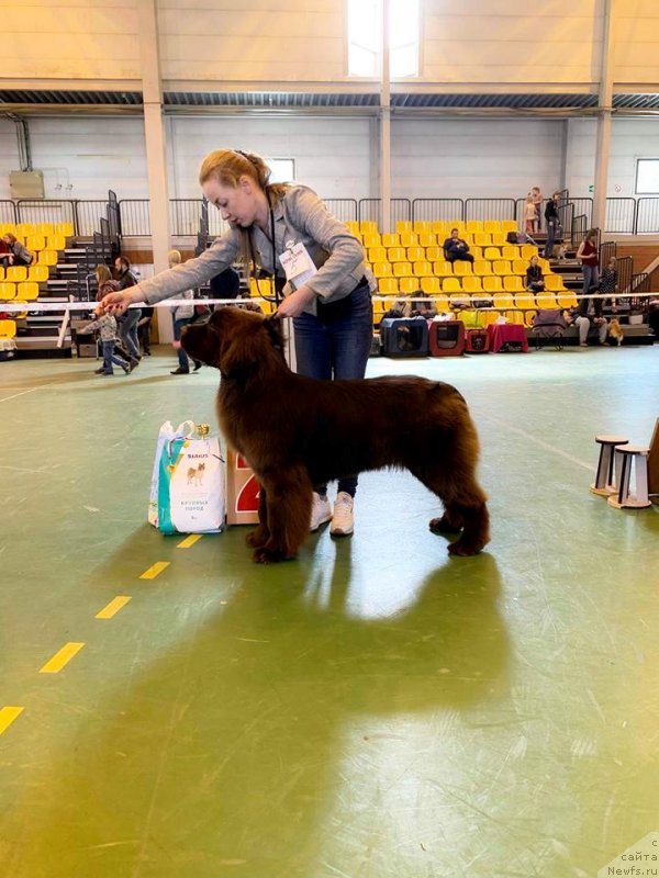 Фотография № 242321