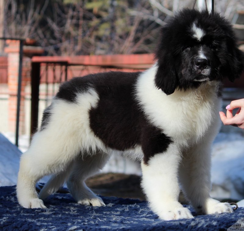 Фото: 2 месяца