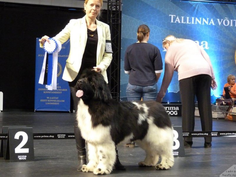 Фотография № 242333