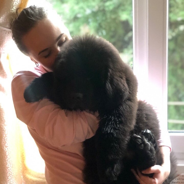 Фотография № 242335