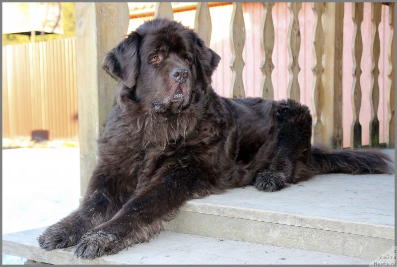 Фотография № 242347