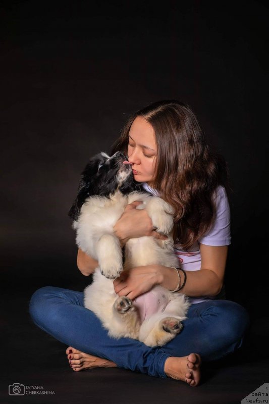 Фото: Kseniya Naumova (Ксения Наумова), ньюфаундленд Vladyka Gor Ist-Ferris Kristal Khed Avrora (Владыка Гор Ист-Феррис Кристал Хэд Аврора)