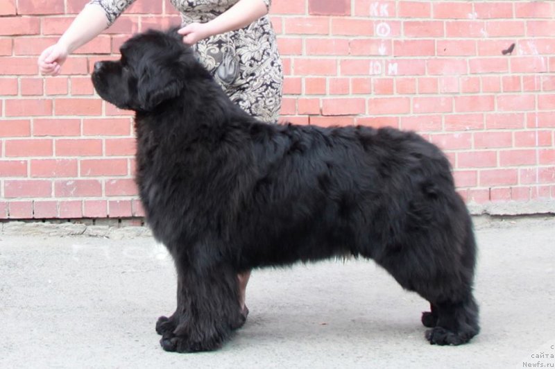 Фотография № 242386