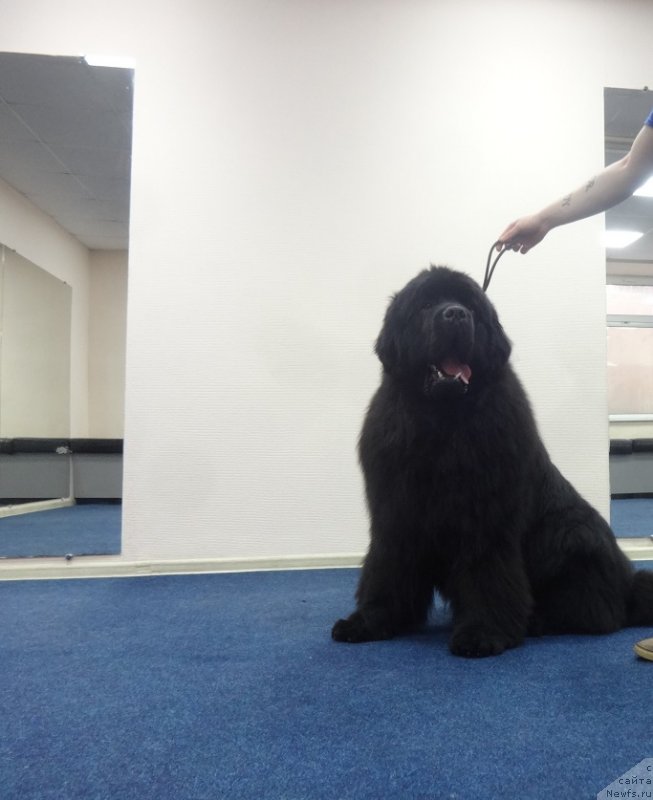 Фотография № 242387