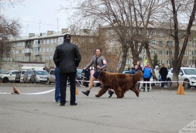 Фотография № 242391