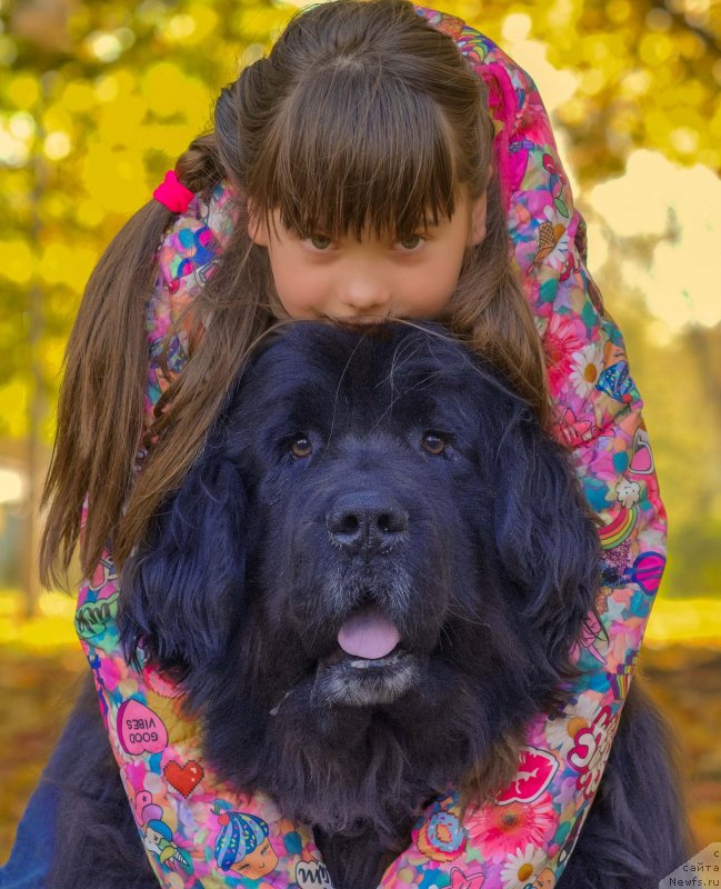 Фотография № 242401