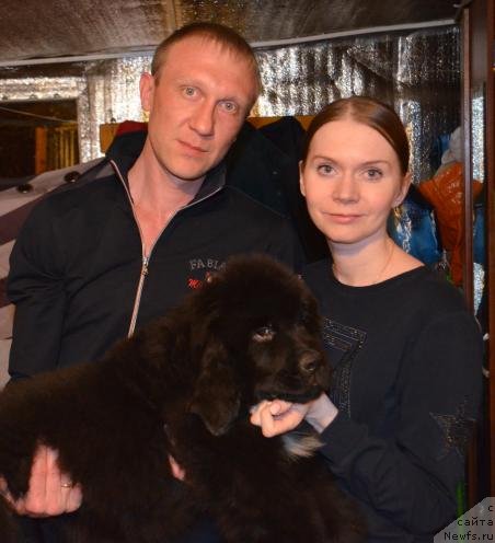 Фото: ньюфаундленд May Frend Newfy Lavender Palm (Май Френд Ньюфи Лавендэ Палм)